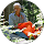 Peter S profile picture